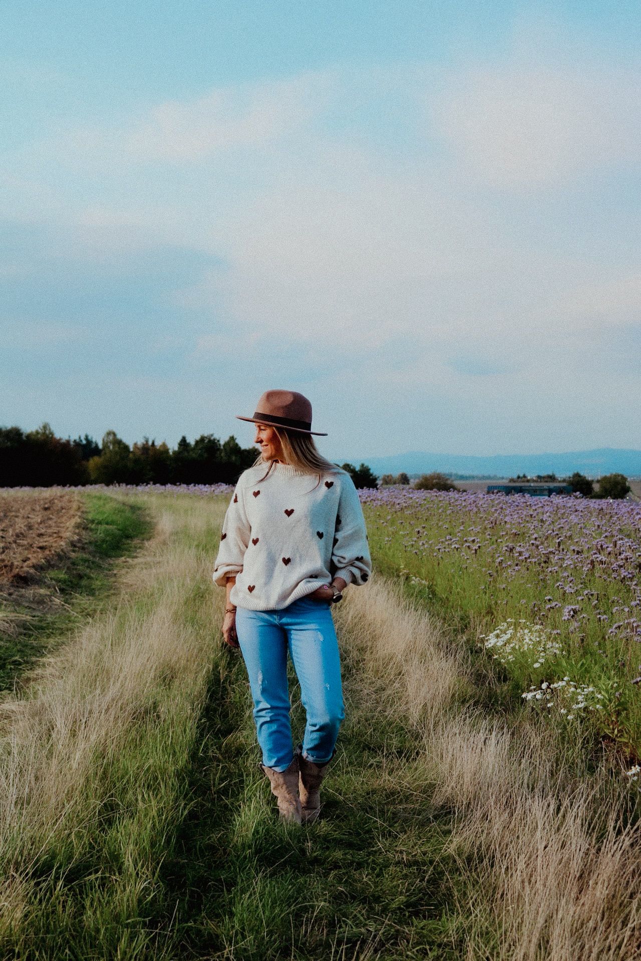 Pullover braune Herzen