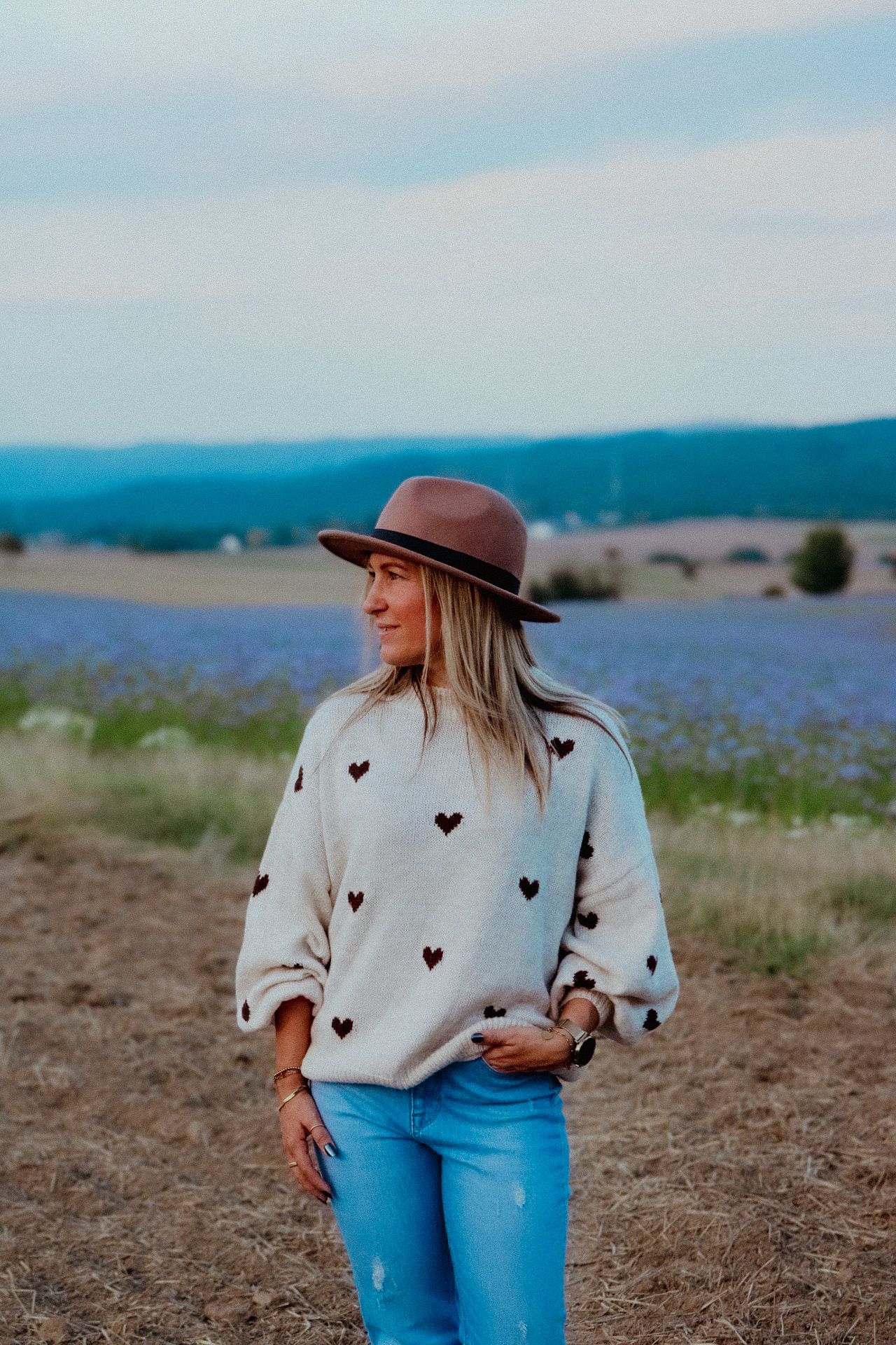 Pullover braune Herzen